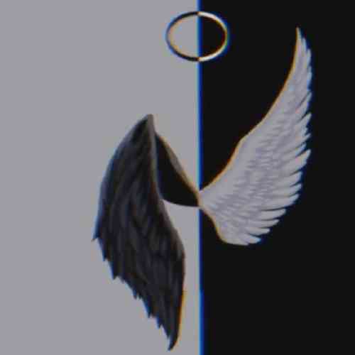 مهدیار چهل تا رل داری بد نگذره